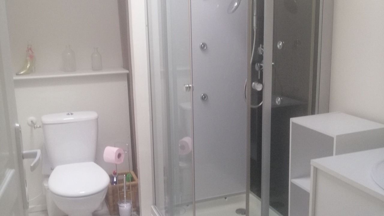 Photo of Bathroom in Medoc