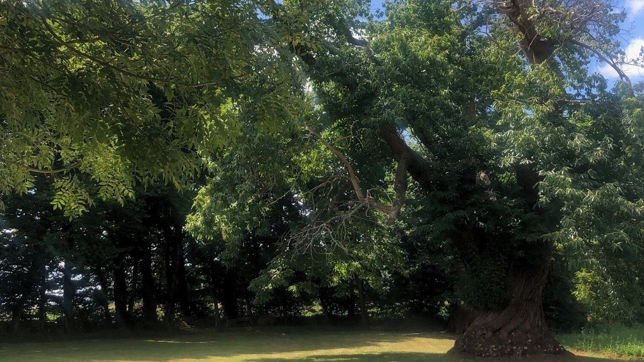 Photo of Outdoor in Exoudun