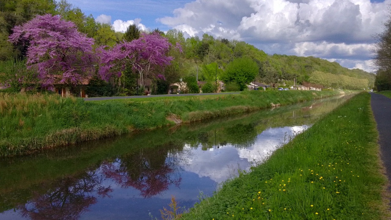 Photo of Others in Saint-Capraise-de-Lalinde