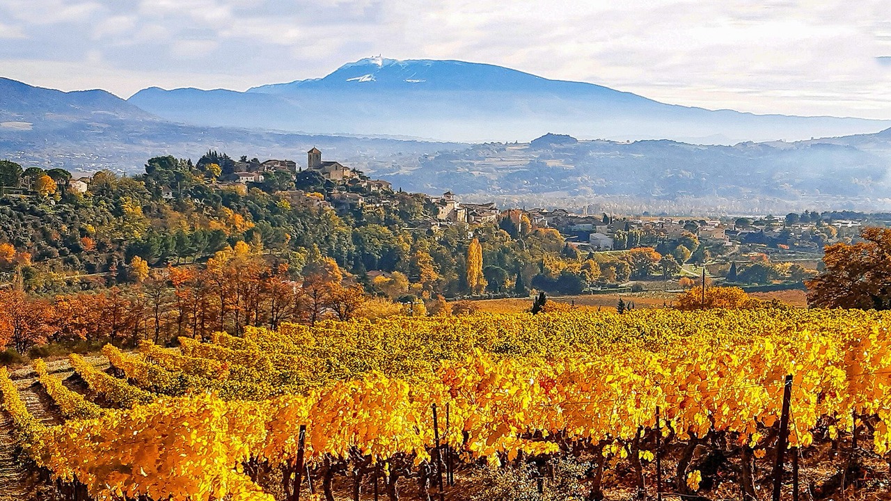 Photo of Others in Vinsobres