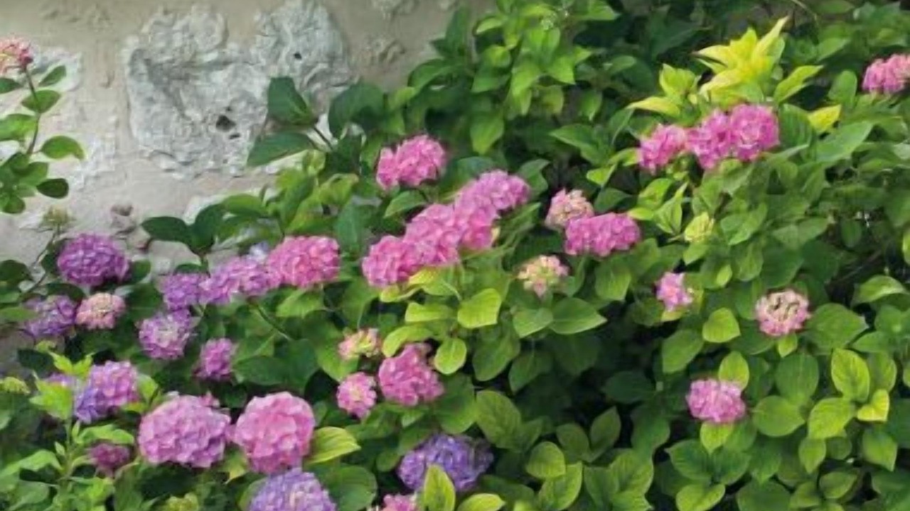 Photo of Outdoor in Saint-Jean-de-Duras
