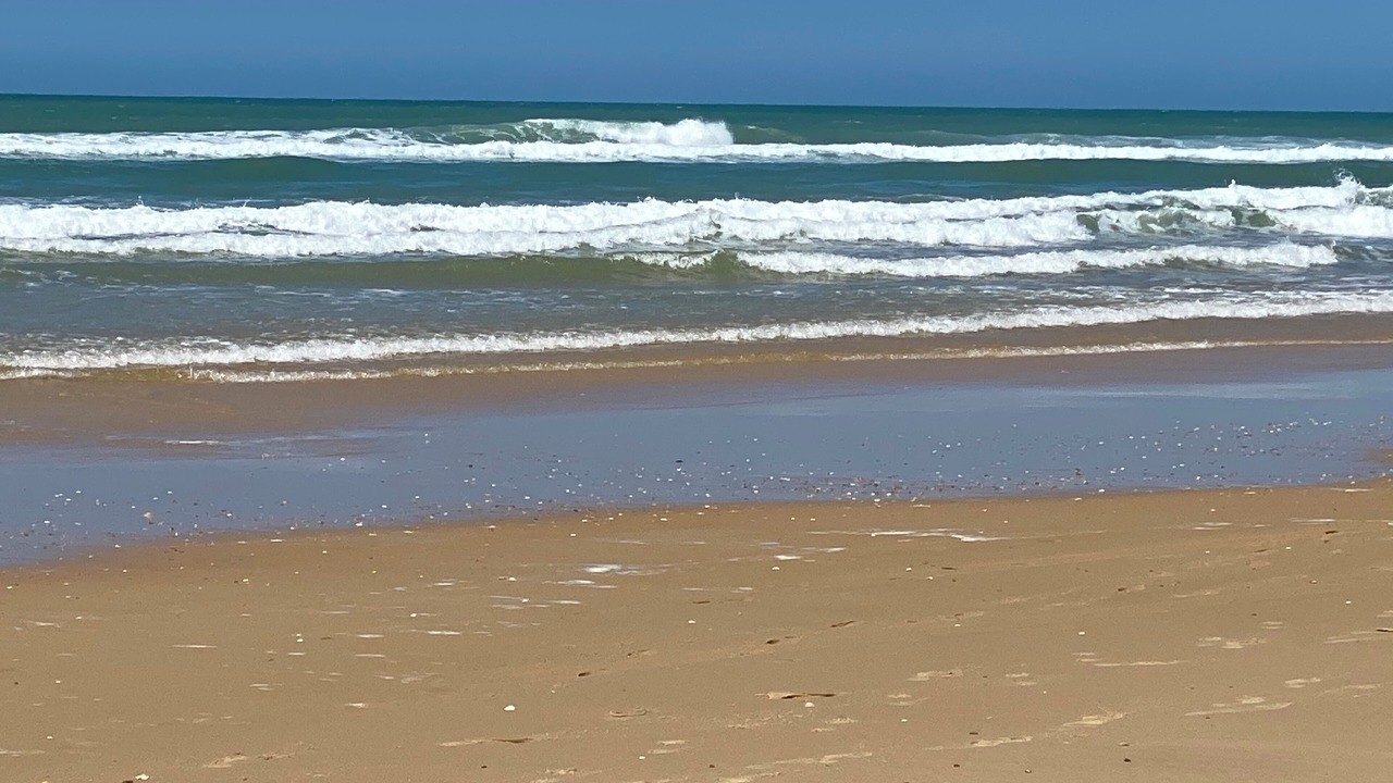 Photo of Others in Le Bouscat