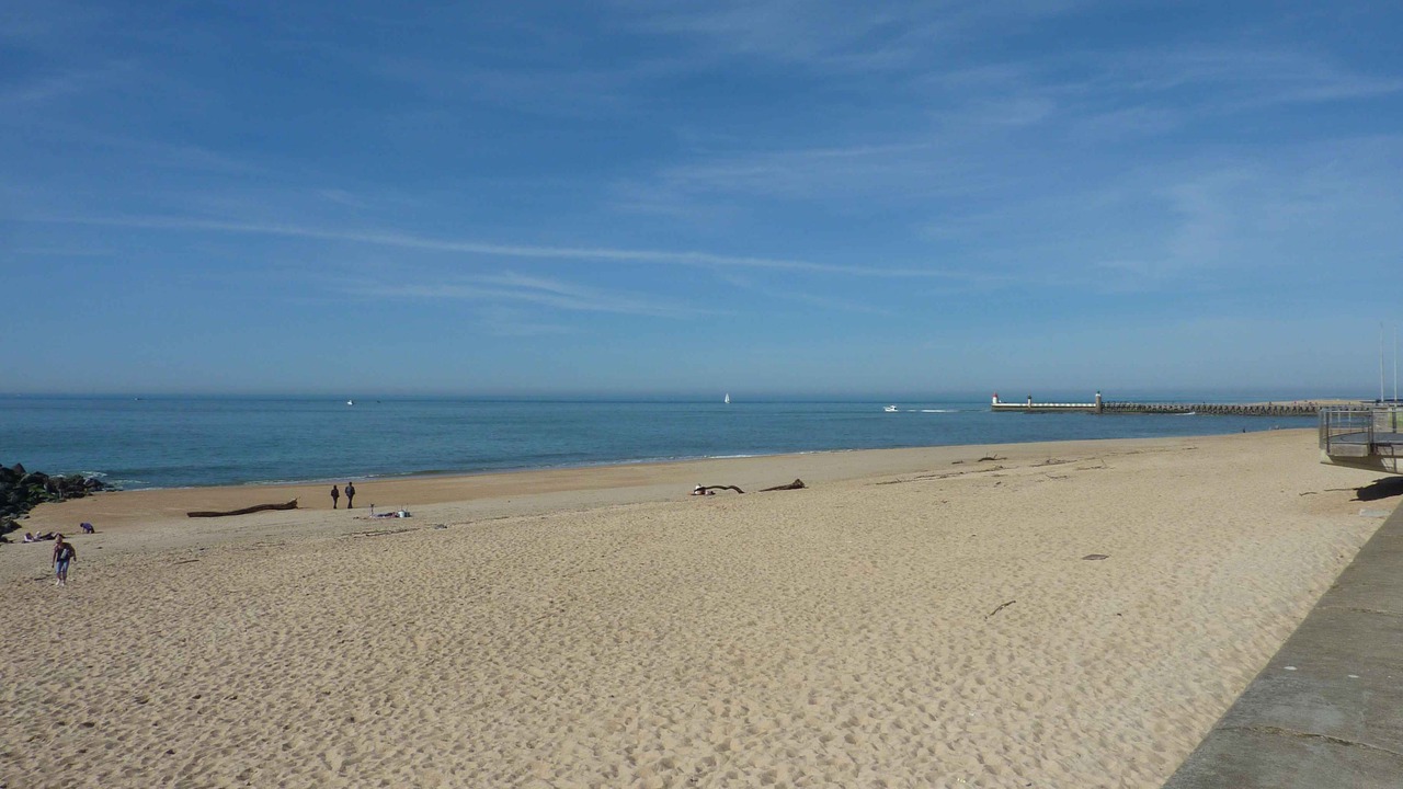 Photo of Others in Saint-Vincent-de-Tyrosse