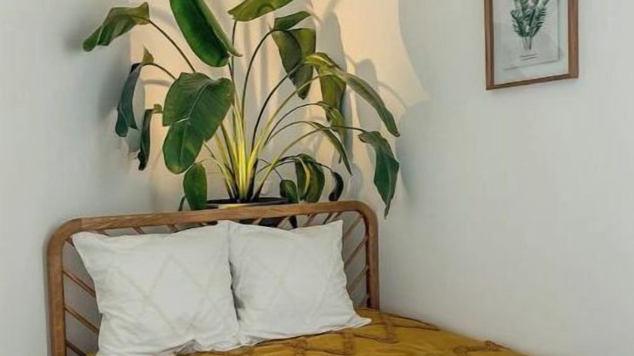 Photo of Bedroom in Libourne