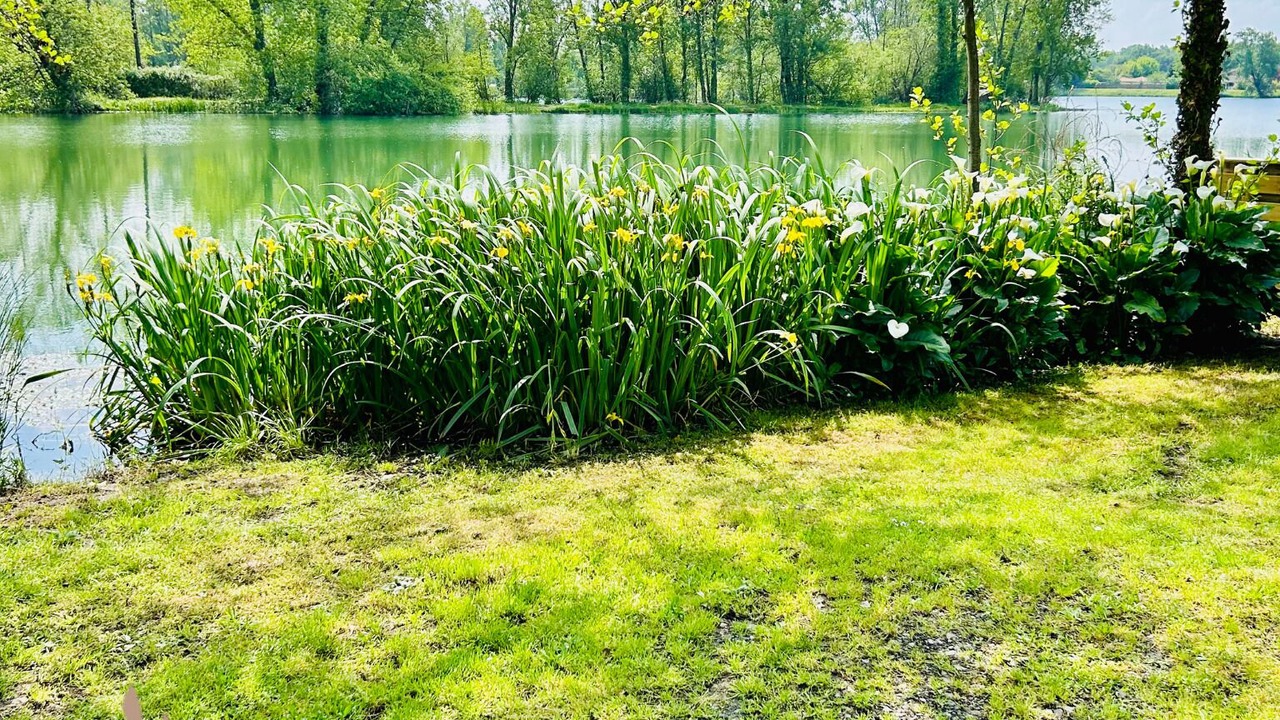 Photo of Outdoor in Izon