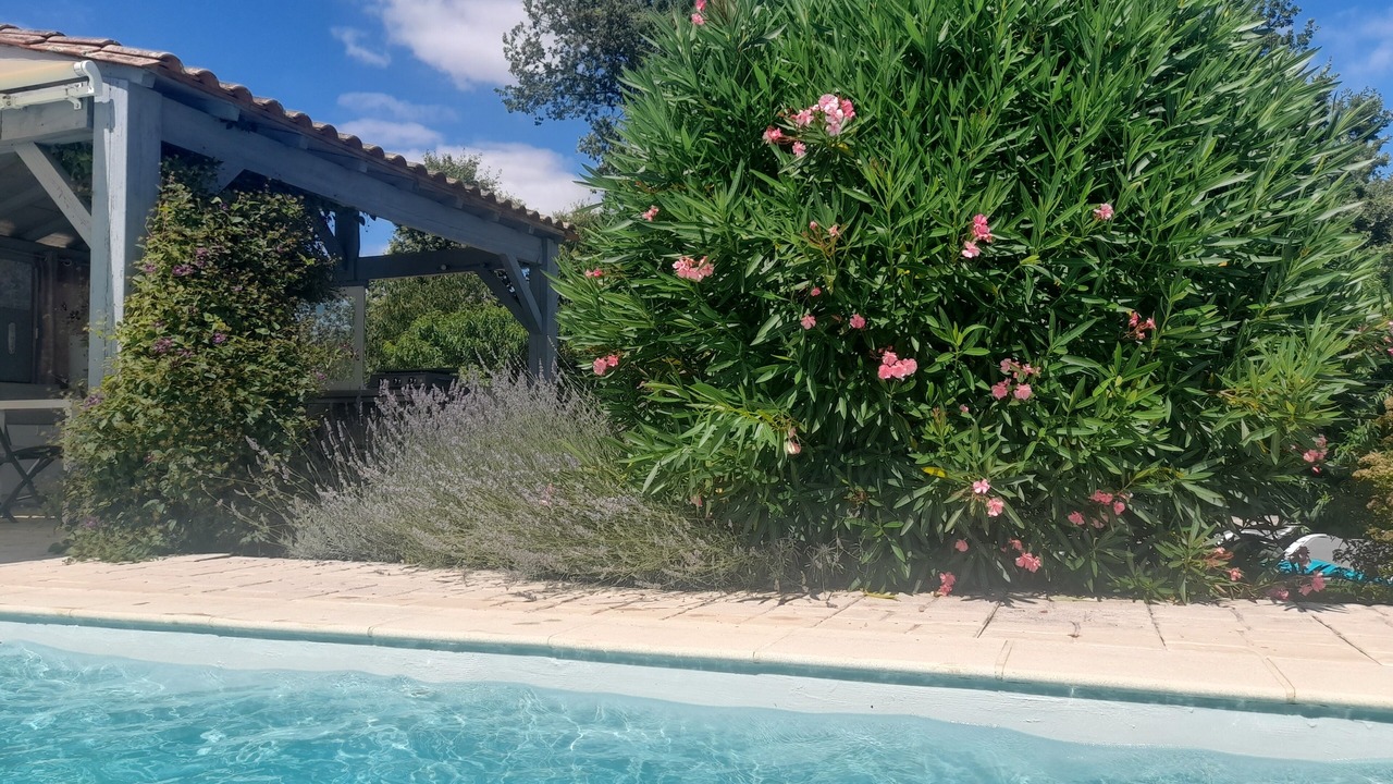 Photo of Outdoor in Cancon