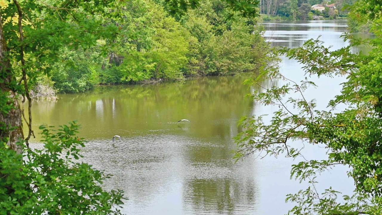 Photo of Outdoor in Sainte-Livrade-sur-Lot