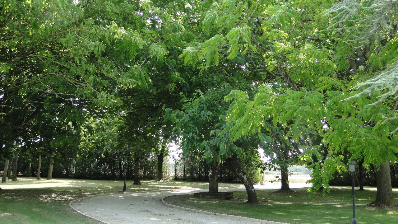 Photo of Others in Bouin