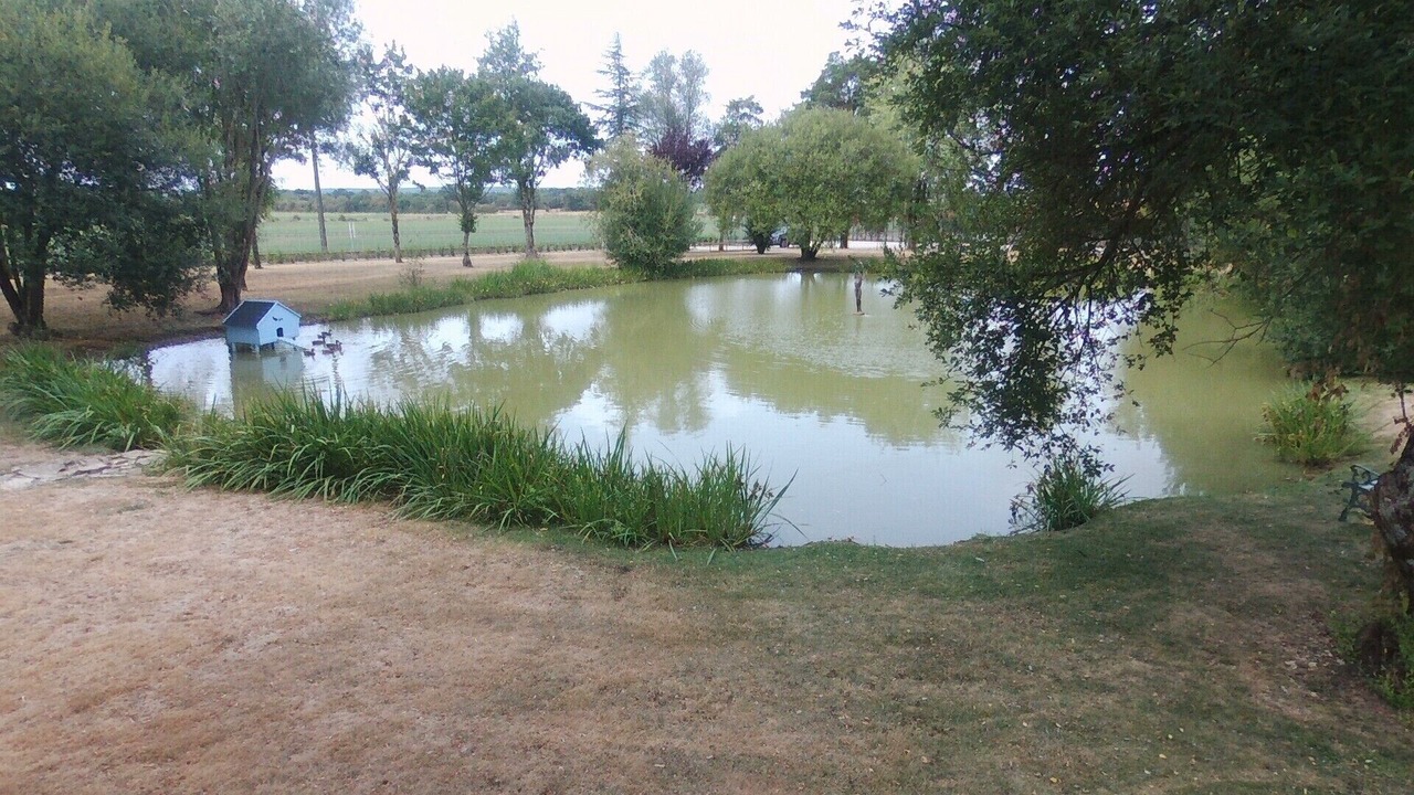 Photo of Outdoor in Bouin