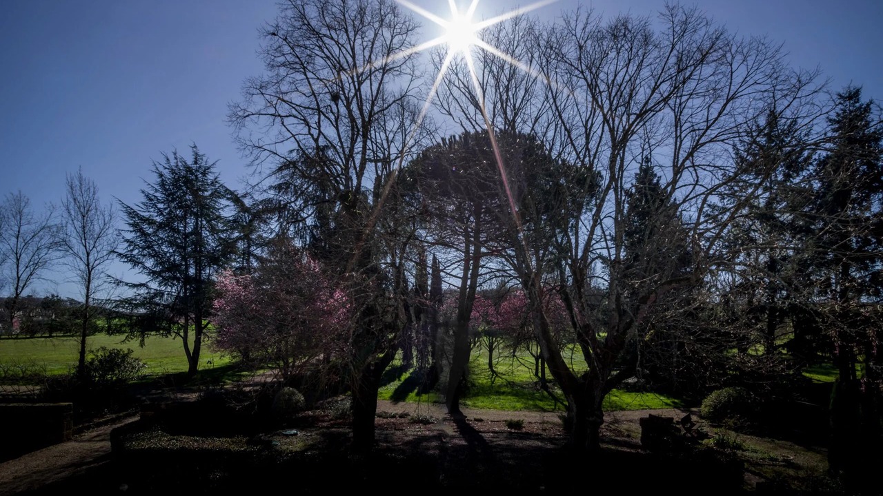 Photo of Outdoor in Eymet