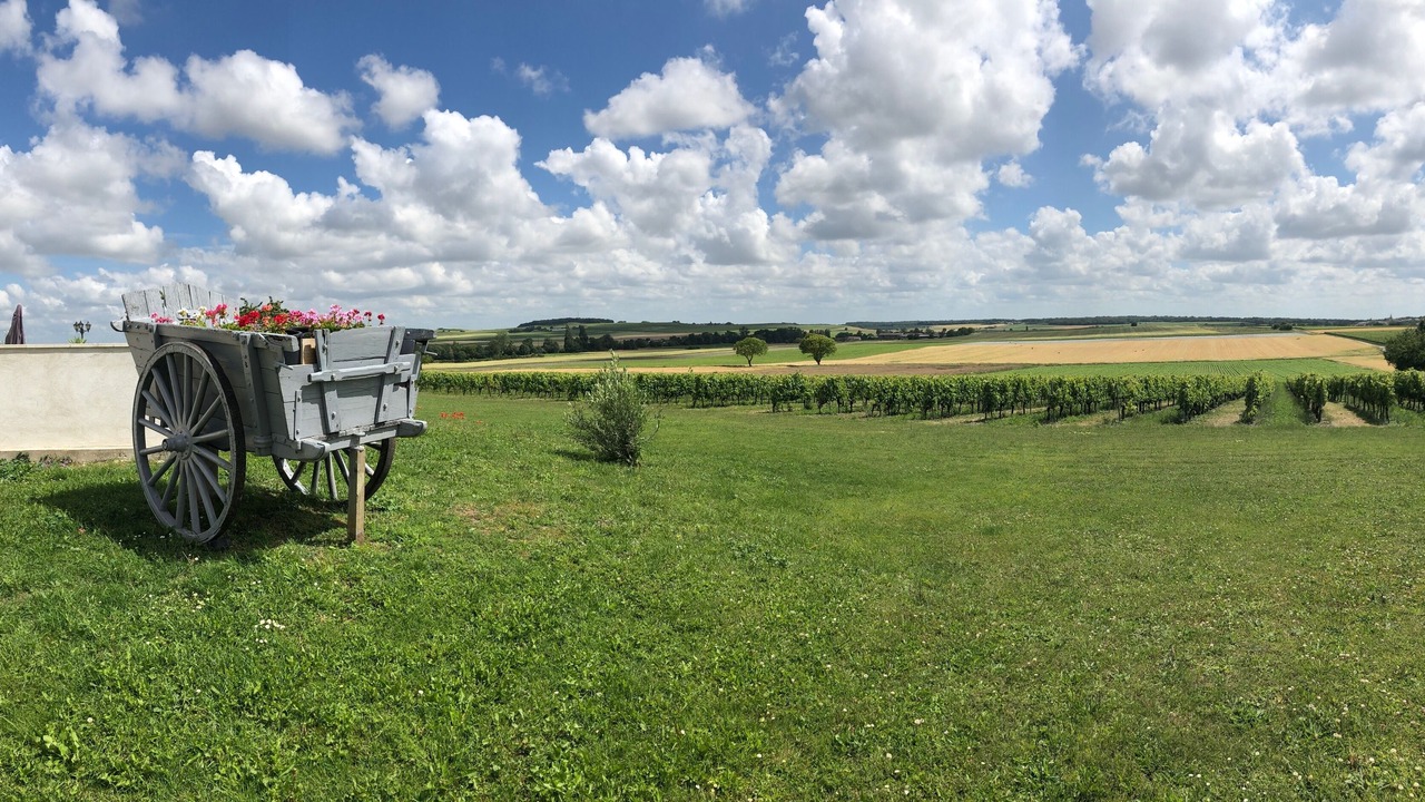 Photo of Others in Haute-Saintonge