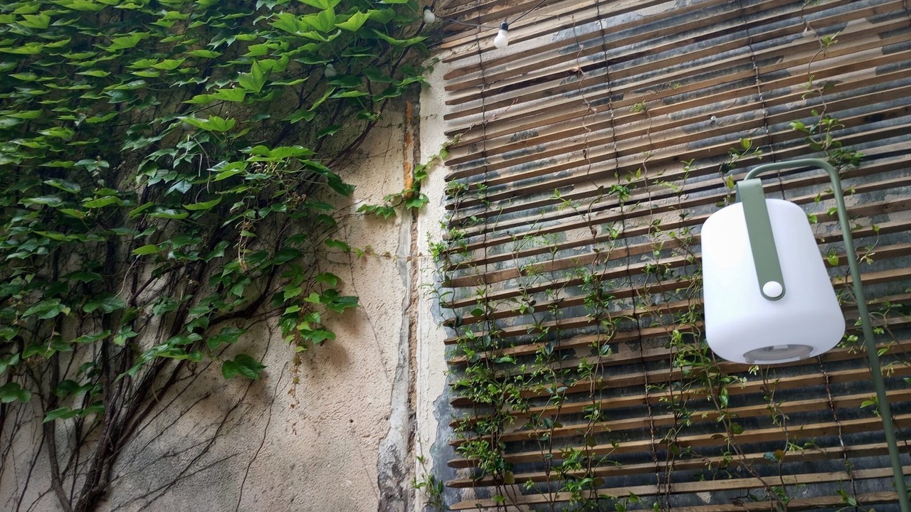 Photo of Outdoor in Saint Seurin - Fondaudege