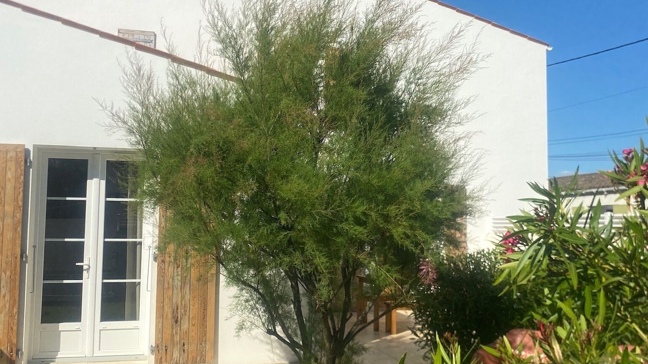Photo of Outdoor in L'Echardiere