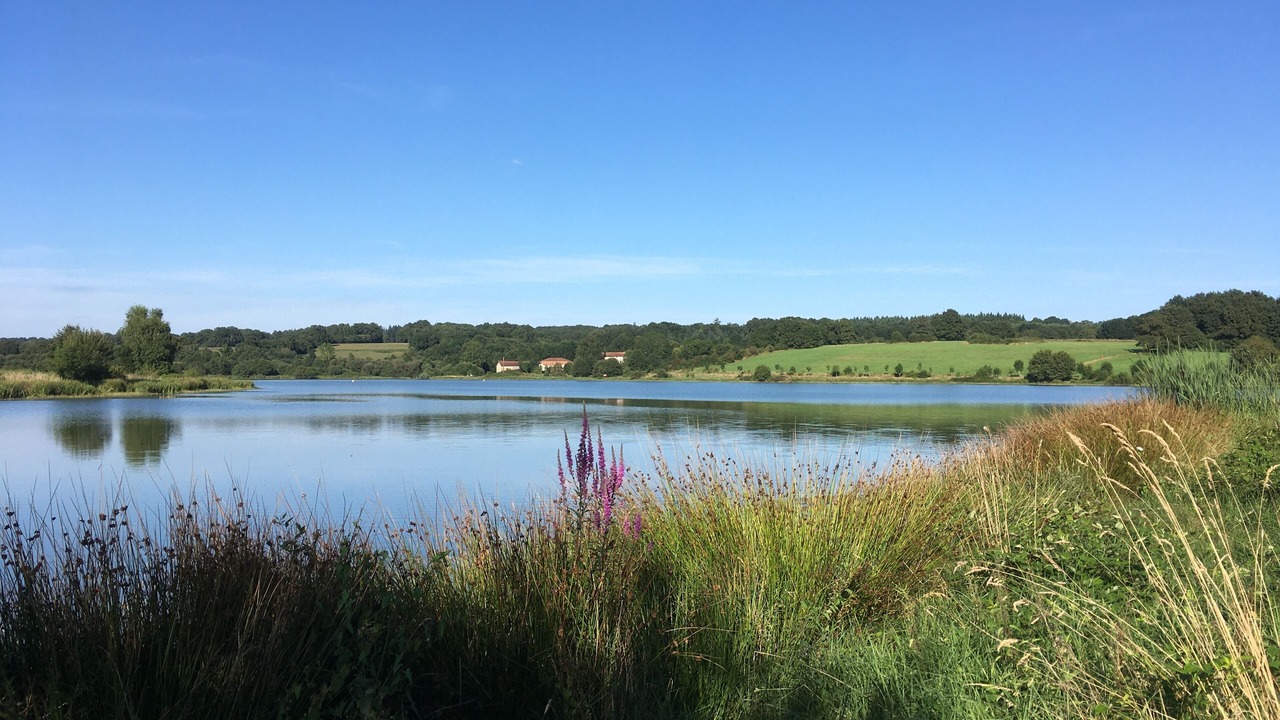 Photo of Outdoor in Massignac