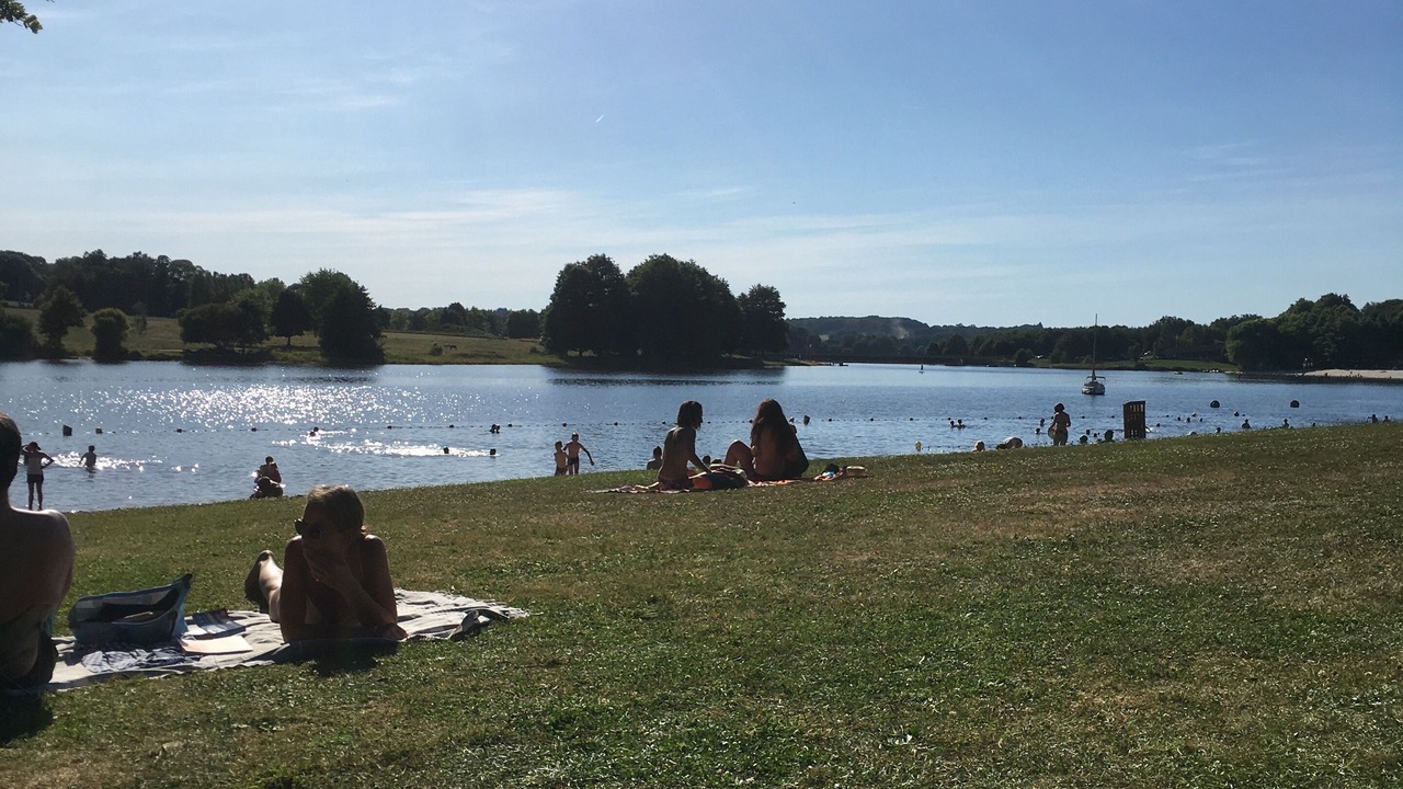 Photo of Others in Massignac