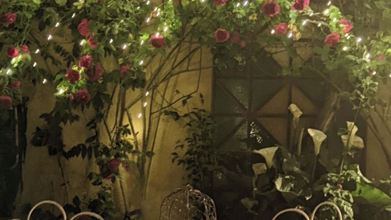 Photo of Outdoor in Limeuil