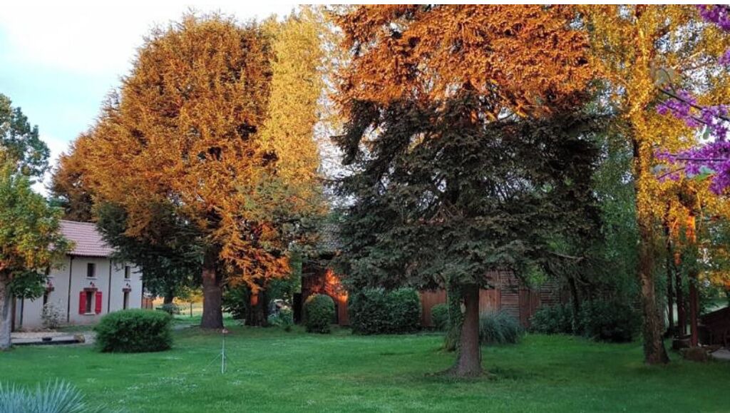 Photo of Outdoor in Prigonrieux
