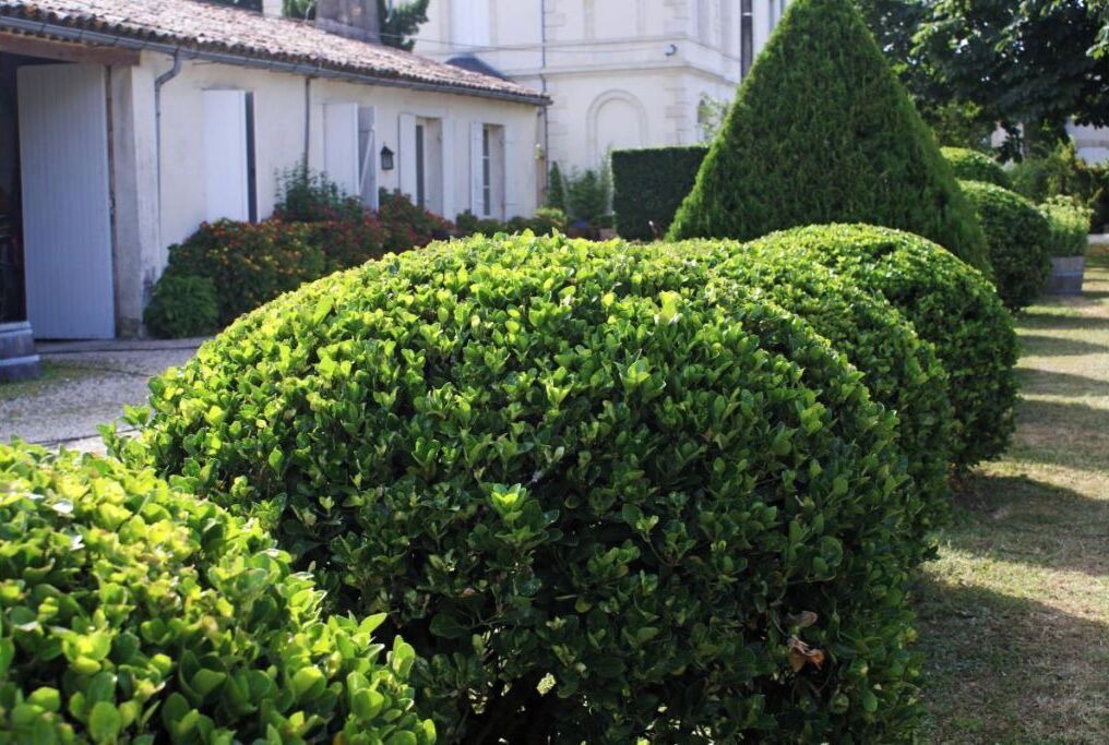 Photo of Outdoor in Sainte-Eulalie
