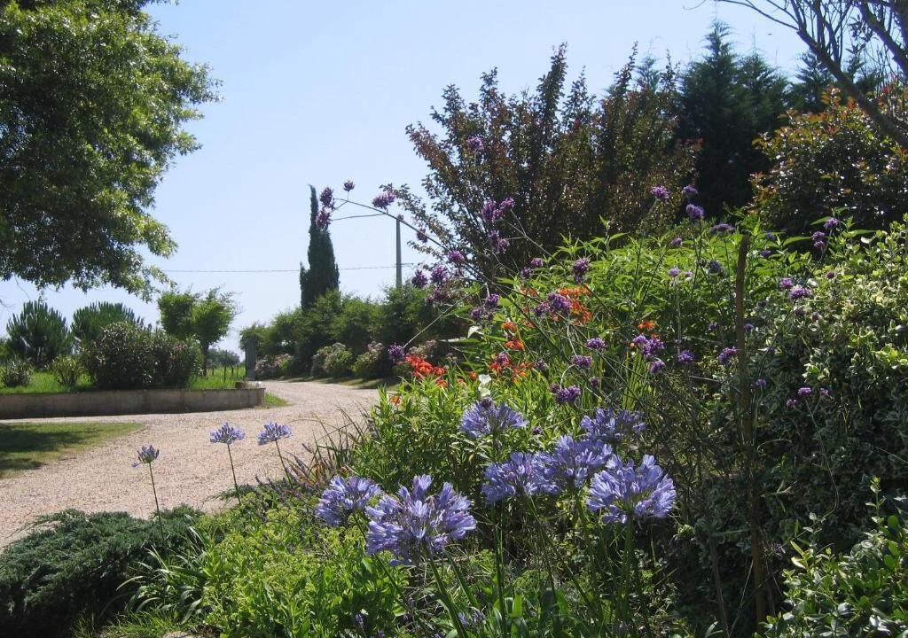 Photo of Outdoor in Saint-Andre-de-Seignanx