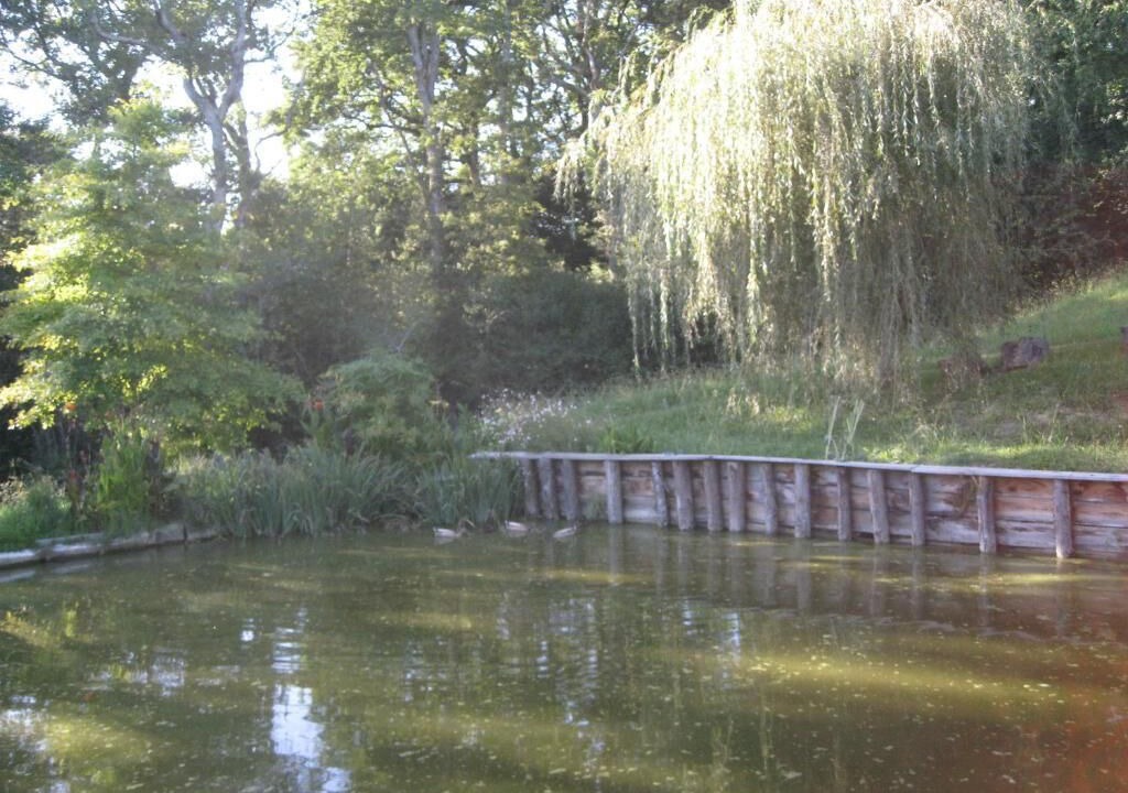 Photo of Outdoor in Saint-Andre-de-Seignanx