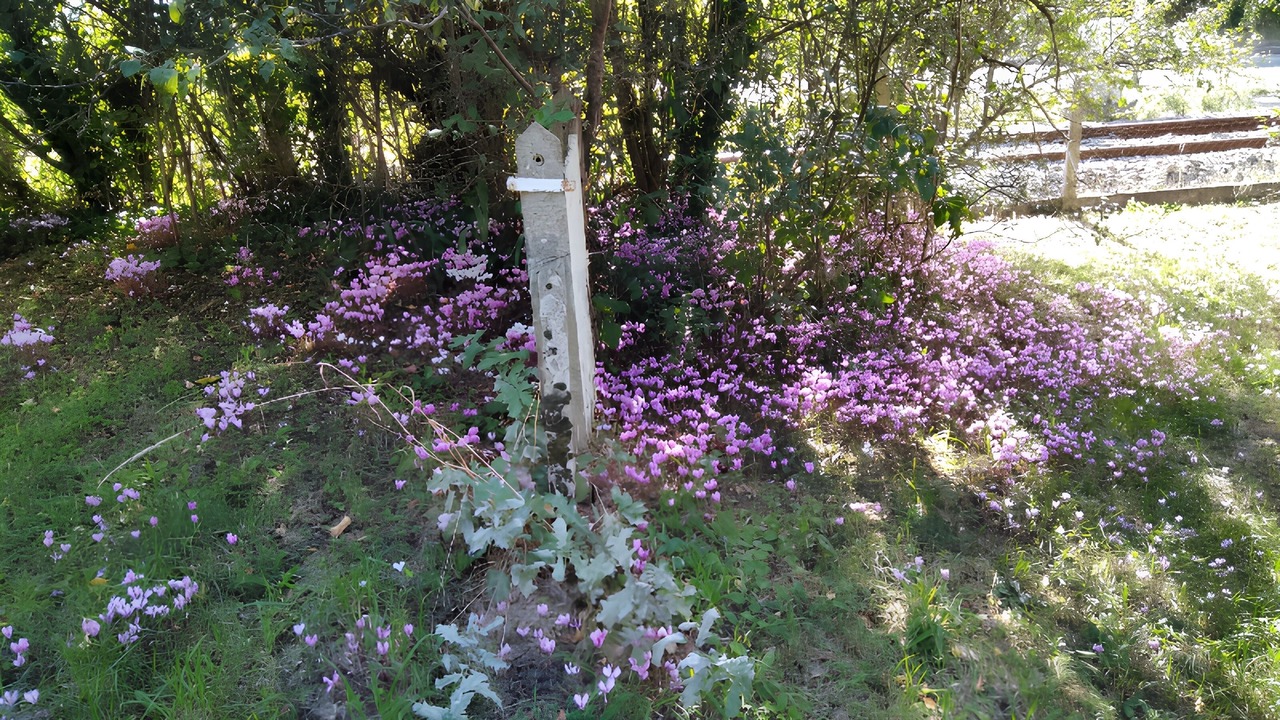 Photo of Others in Lathus-Saint-Remy