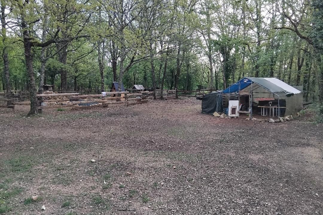 Photo of Outdoor in Saint-Aubin-de-Nabirat