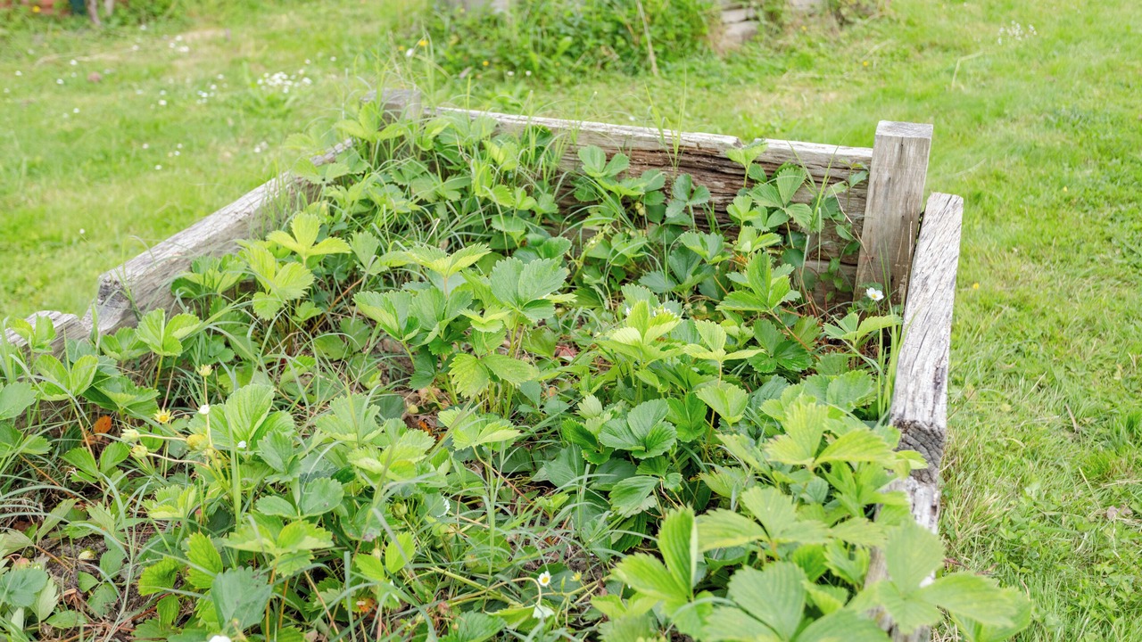 Photo of Outdoor in Guiche