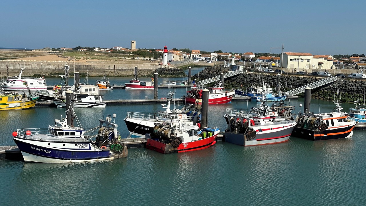 Photo of Others in Le Chateau-d'Oleron