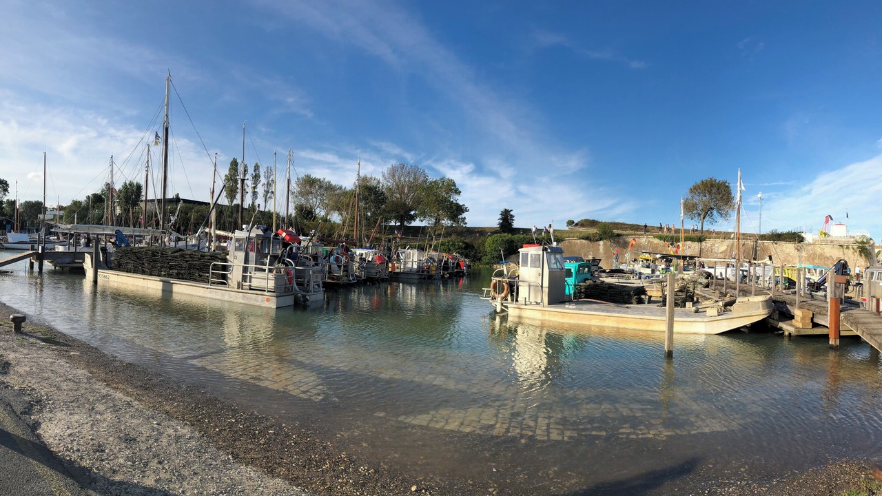 Photo of Others in Le Chateau-d'Oleron