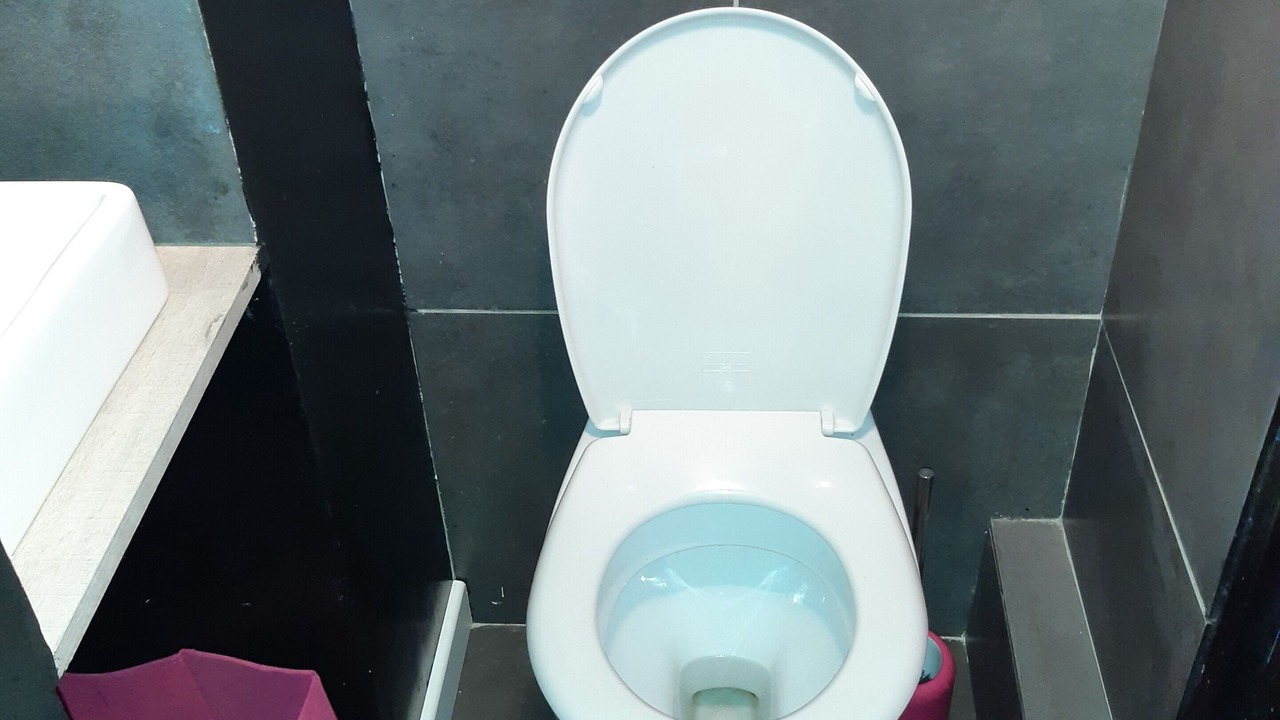 Photo of Bathroom in Cestas