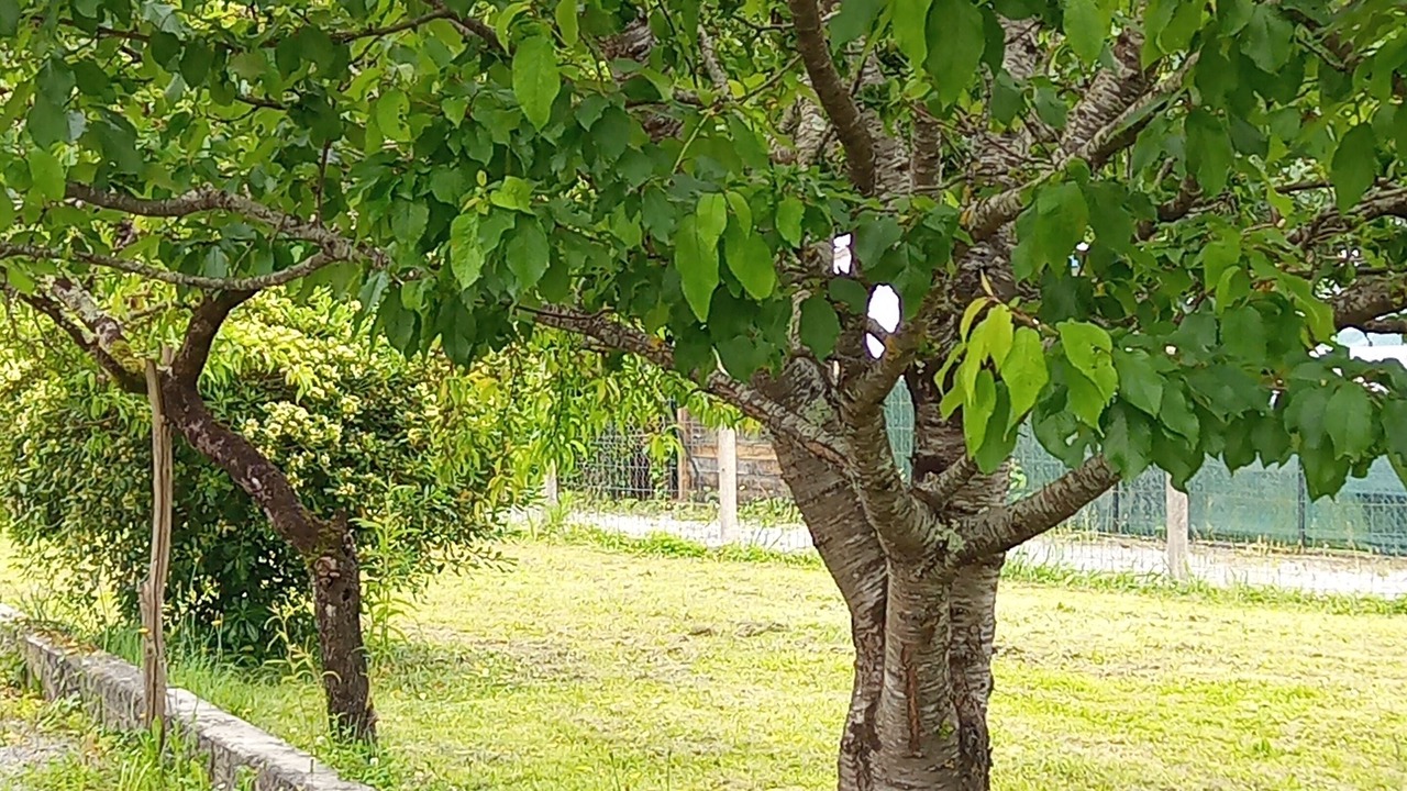 Photo of Outdoor in Jurancon