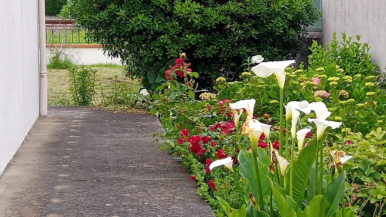 Photo of Outdoor in Jurancon