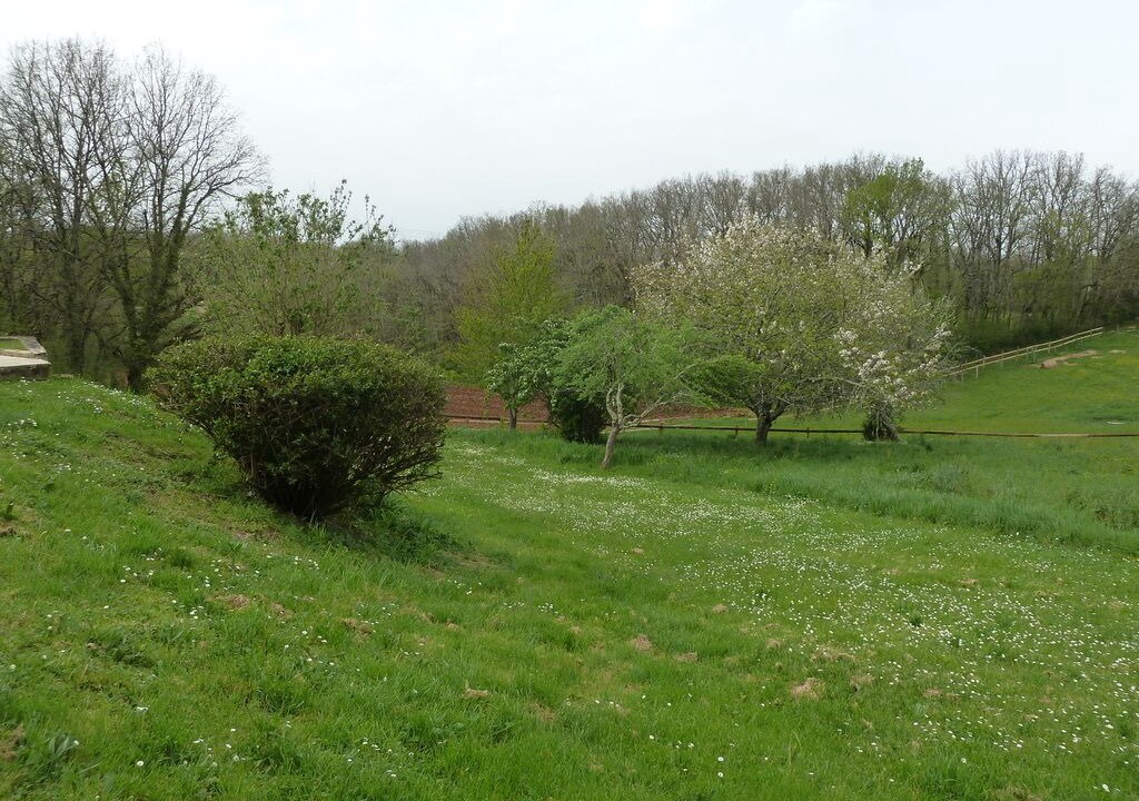 Photo of Outdoor in Saint-Avit-Senieur