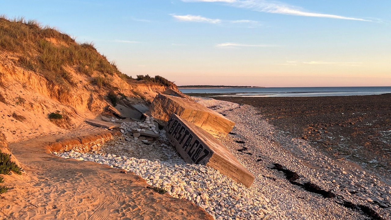 Photo of Others in Saint-Denis-d'Oleron