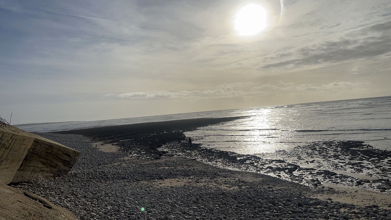 Photo of Others in Saint-Denis-d'Oleron