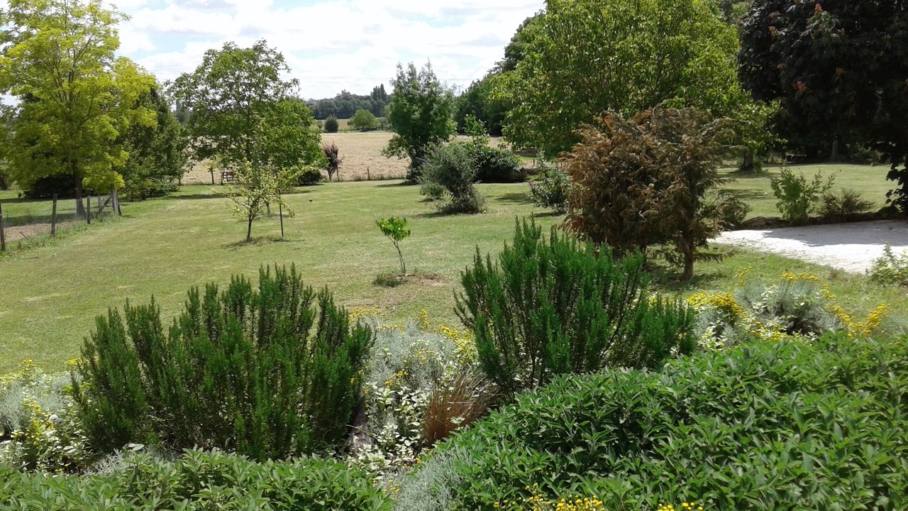 Photo of Outdoor in Montpellier de Medillan