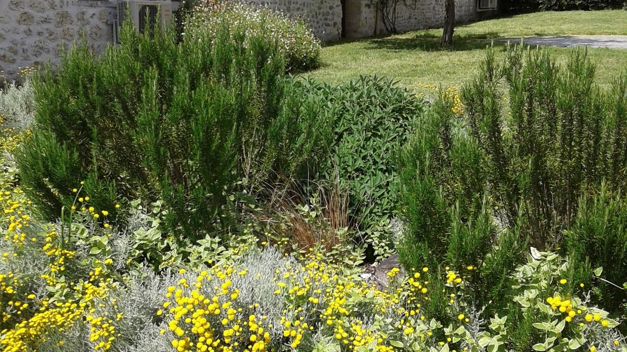 Photo of Outdoor in Montpellier de Medillan