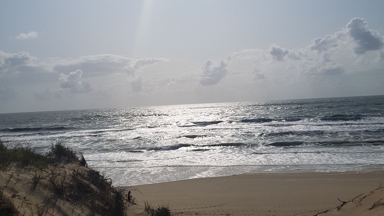 Photo of Others in Montpellier de Medillan