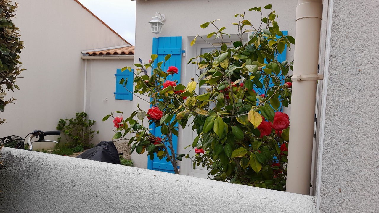 Photo of Outdoor in La Remigeasse