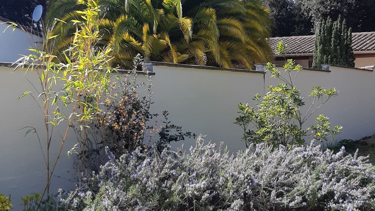Photo of Outdoor in Domino