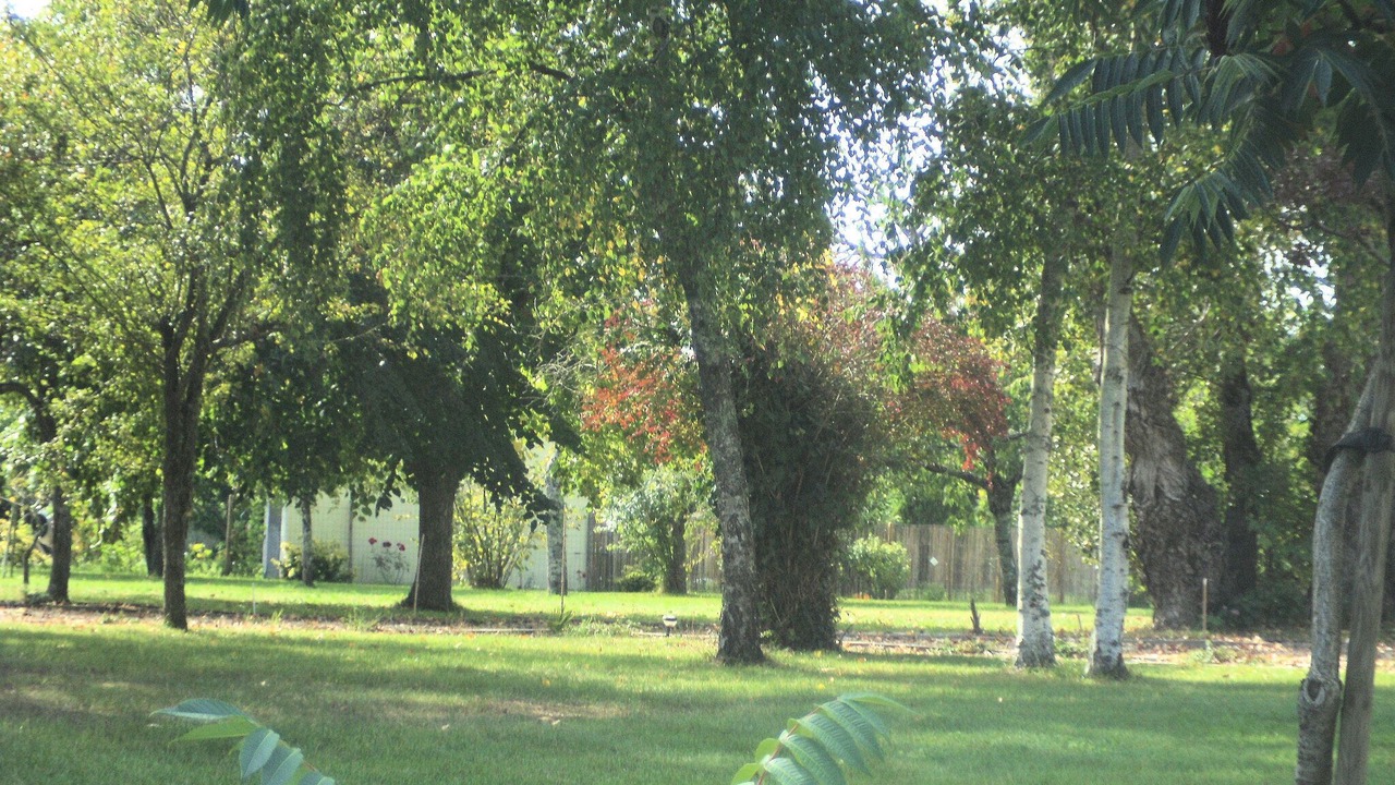 Photo of Outdoor in Queyrac