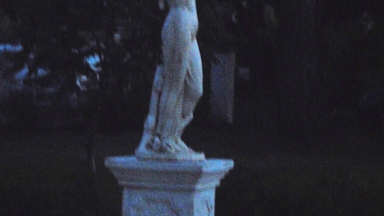 Photo of Outdoor in Queyrac