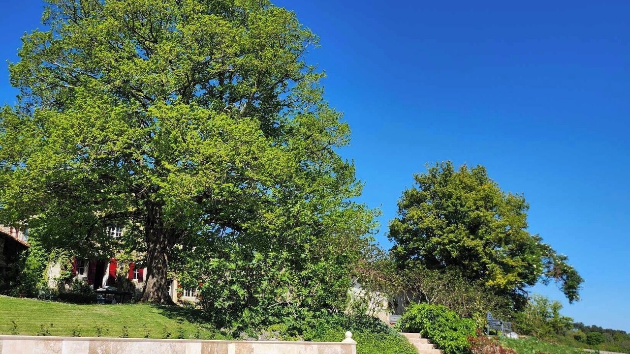 Photo of Outdoor in Celles
