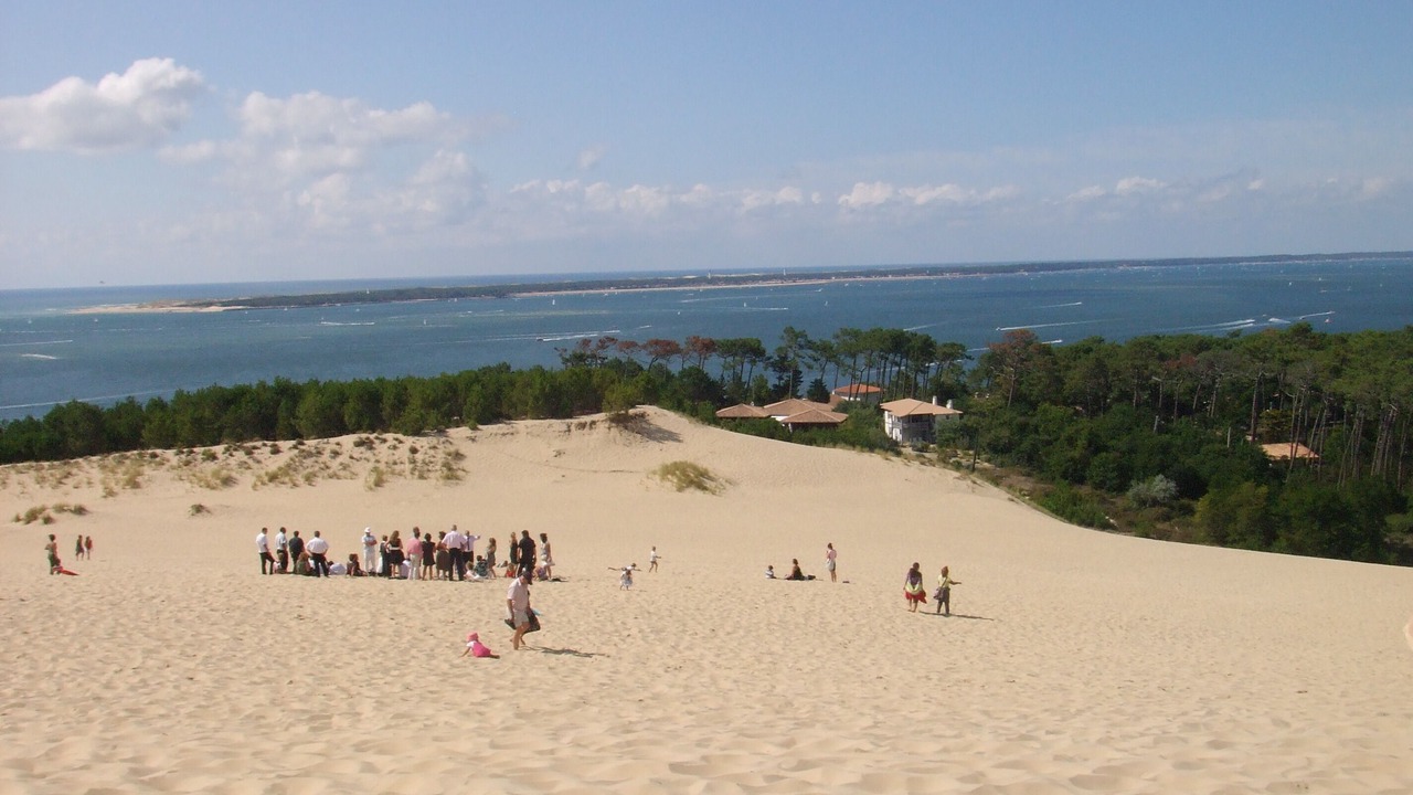 Photo of Others in Gujan-Mestras