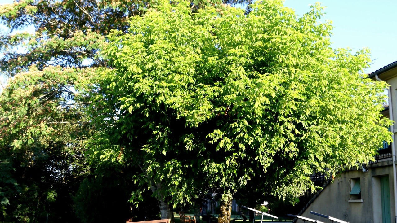 Photo of Outdoor in Bergerac