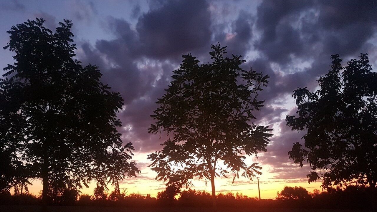Photo of Outdoor in La Bataille