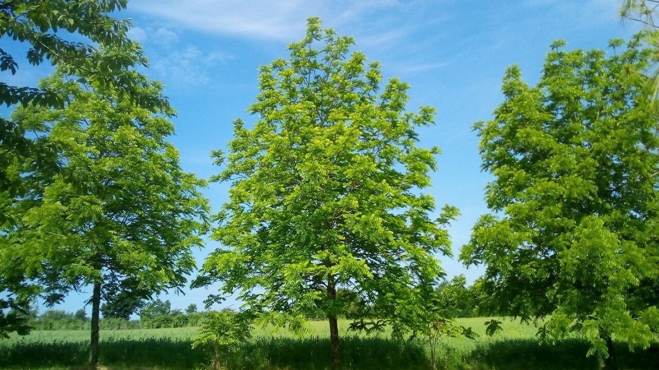 Photo of Outdoor in La Bataille