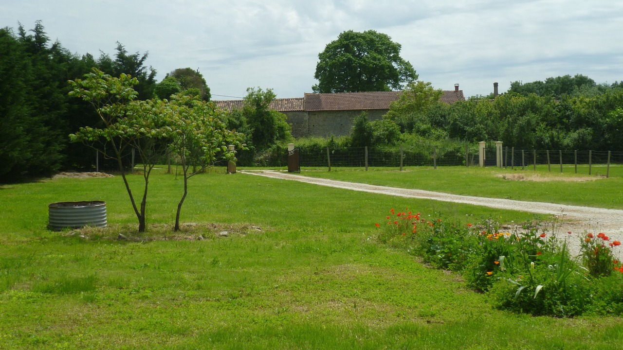 Photo of Outdoor in Villefagnan