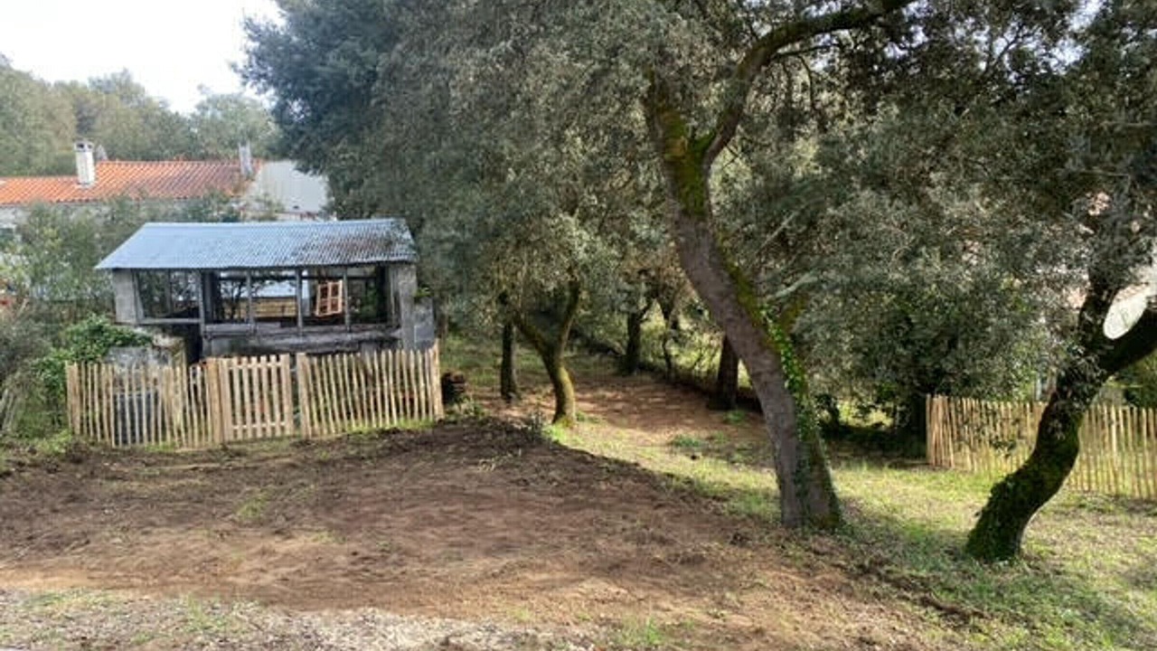 Photo of Outdoor in Domino