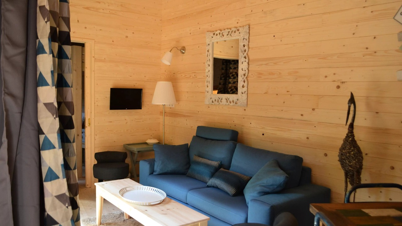 Photo of Livingroom in Salles-en-Toulon